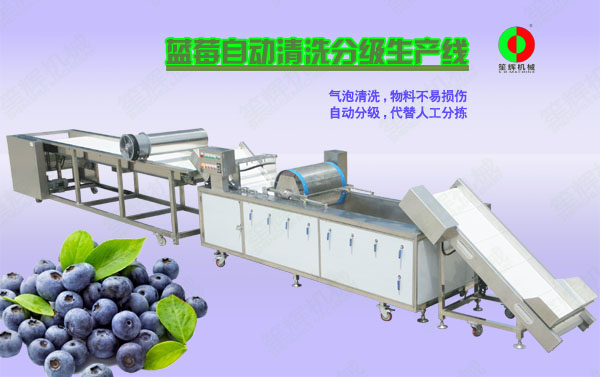 浦江蓝莓/蔬果全自动清洗分级生产线